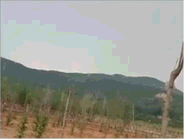 1691985089922710.gif 1691985089922710.gif