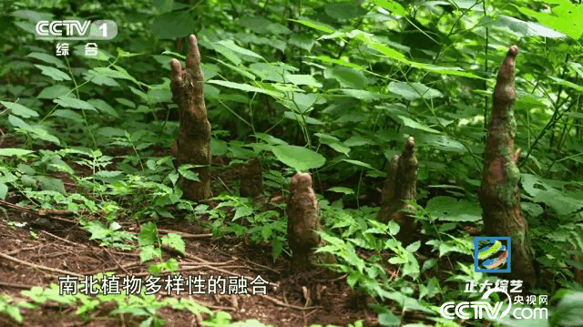 db6d0f3b4879cbb5a3198cda5497a063_2023090317373089564.gif db6d0f3b4879cbb5a3198cda5497a063_2023090317373089564.gif