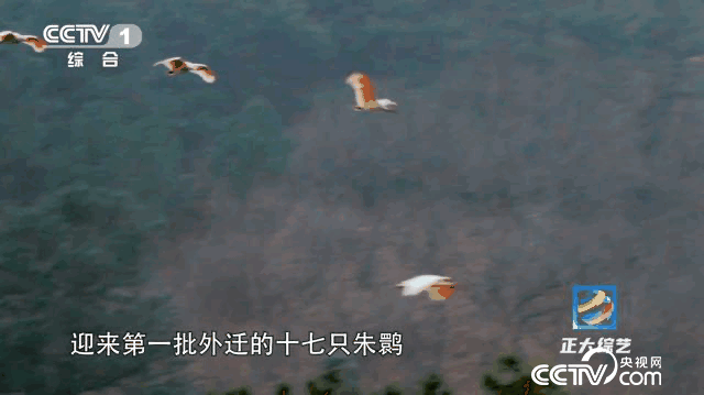 9260444da1f640142a536ddbdab368c3_2023090317374946835.gif 9260444da1f640142a536ddbdab368c3_2023090317374946835.gif