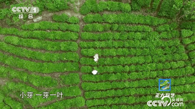 f2c5572257e3ce008d2cb6e04aea6224_2023090317354884650.gif f2c5572257e3ce008d2cb6e04aea6224_2023090317354884650.gif